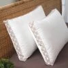 Best reviews of 🎁 Pinnacle Hypoallergenic Down Alternative Jumbo Pillow by Allied Home 🌟