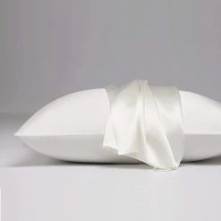 Brand new 🎁 Dreamy Silk King Ivory Pillow Case by Allied Home 🎁