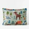 Best reviews of 🔔 Company Kids Wilderness Camp Organic Multicolored Cotton Percale Standard Sham by Company Kids by The Company Store 🤩