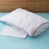 Outlet 🎁 Allergen Barrier Queen Pillow Enhancer and Travel Pillow Cover by Allied Home 💯 -Allied Home Shop whites allied home pillow protectors pp000881 q 64 1000